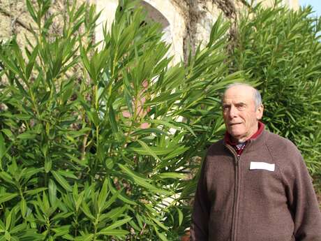 La vigne et ses vieux outils présentés par François