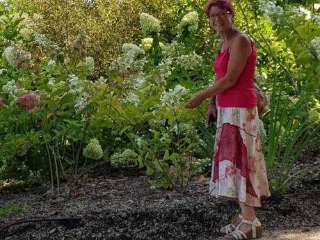 Isidra, au jardin de Termi à Laurède