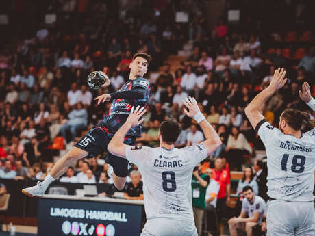 Match de handball LH - HBC Nantes