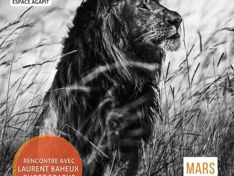 Exposition "Afrique Sauvage"
