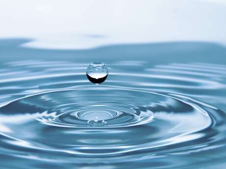 « L’eau dans tous ses états »