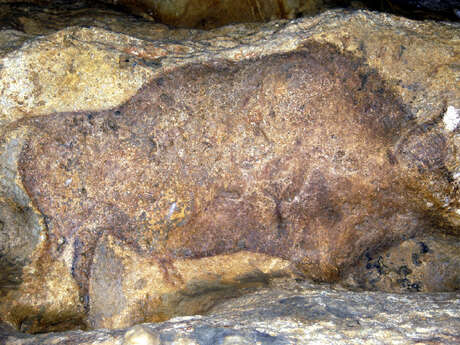 Grotte de Font-de-Gaume