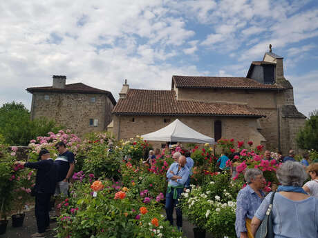 Fête de la Rose