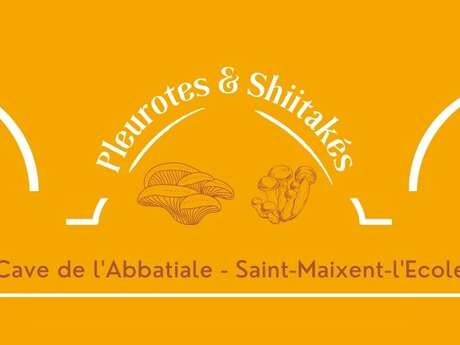 Pleurotes & Shiitakés