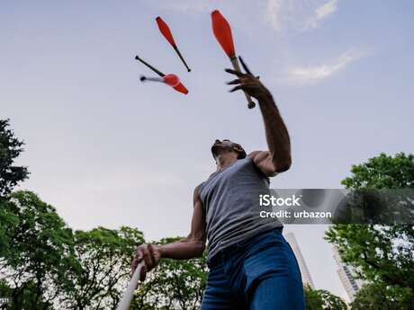 Stage de cirque