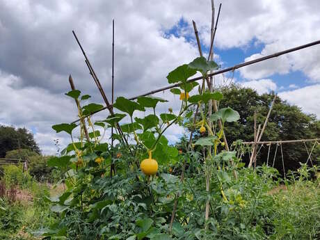 Initiez-vous à la permaculture à St-Laurent-les-Eglises