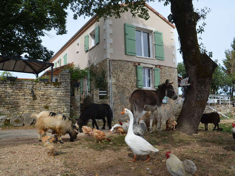 La Ferme Auberge des Vergnes