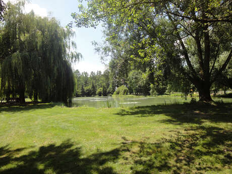 Etang de pêche des Trois-Moutiers