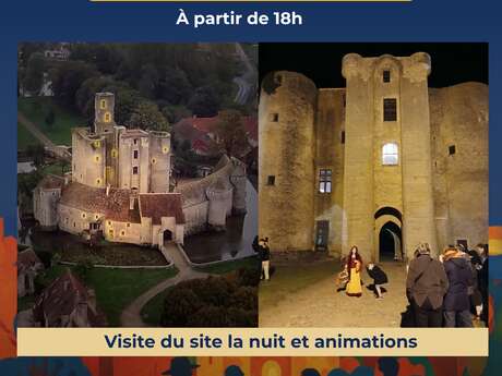 Nuit des Châteaux à Sagonne