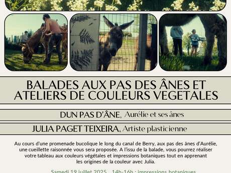 Balade aux pas des ânes et ateliers de couleurs végétales