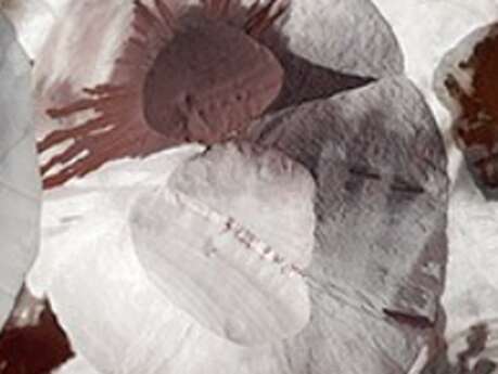 Expositions d'Automne