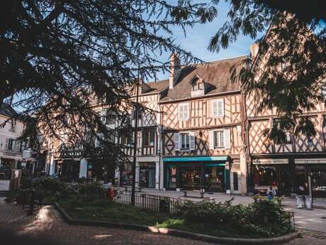 Visites guidées : Cathédrale et Centre Historique