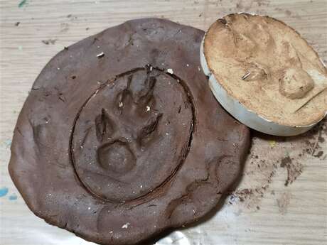 Atelier Bout d'choux Moulage d'empreintes animales