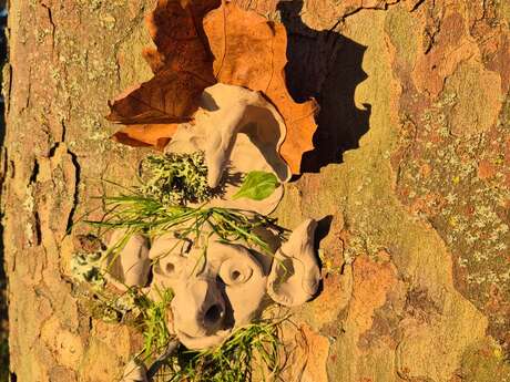 Sortie Nature Halloween