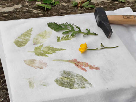 Atelier "Impression végétale"