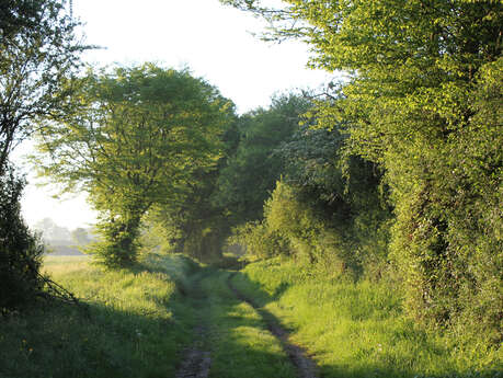 Visite "Le bocage aux aurores"