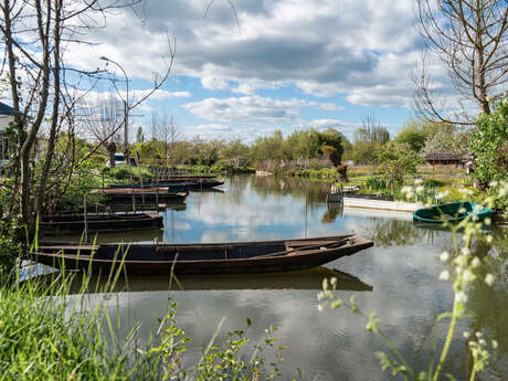 Les Marais de Bourges en barque