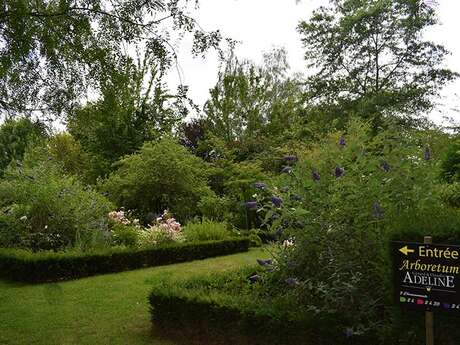 Arboretum Adeline