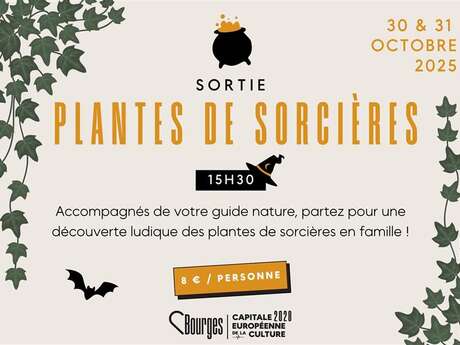 Balade de l'enchanteur : Plantes de sorcières Balade de l'enchanteur : Plantes de sorcières