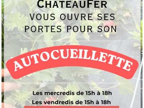 Autocueillette