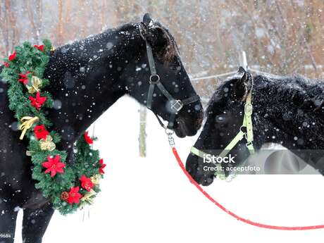 [Noel en Grand Sancerrois]: Ballades en calèche