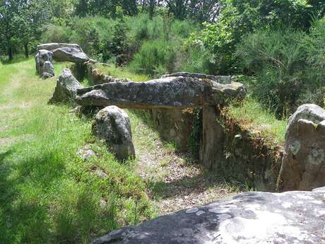 Allée couverte de Mané Roullarde