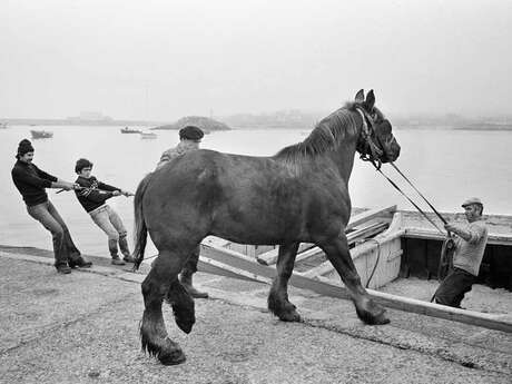 Exposition photographies "A terre en mer, les îles de Michel Thersiquel"