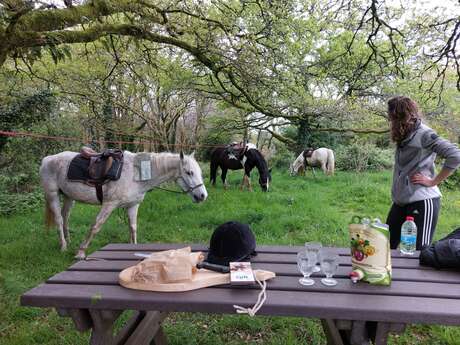 Ker Ehwaz Equitation