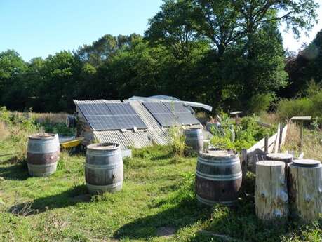 Atelier permaculture et jardin-forêt