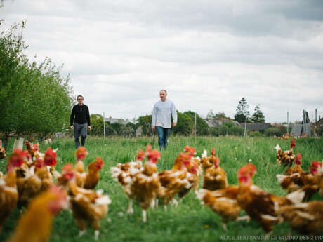 Aire de camping-cars à la ferme "Le Clos du Moulin"