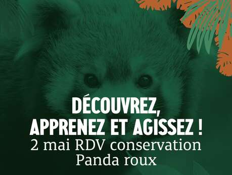 RDV Conservation Pandas roux