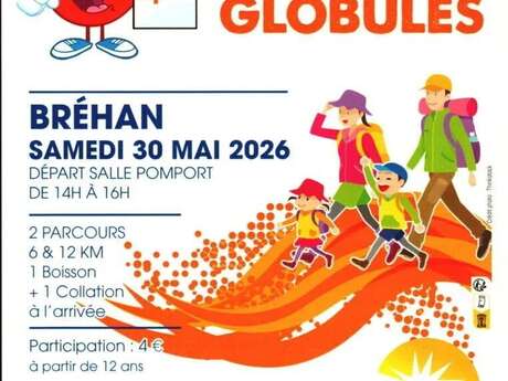 4e marche des globules