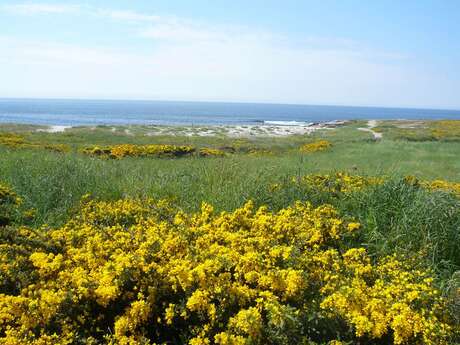 Plage des Kaolins
