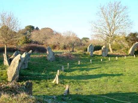 Enceinte mégalithique de Kergonan