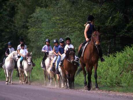 Centre Equestre des Menhirs