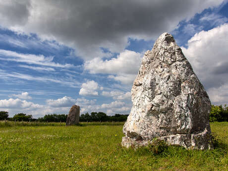 Menhirs du Champ de la Pierre et du Champ Horel