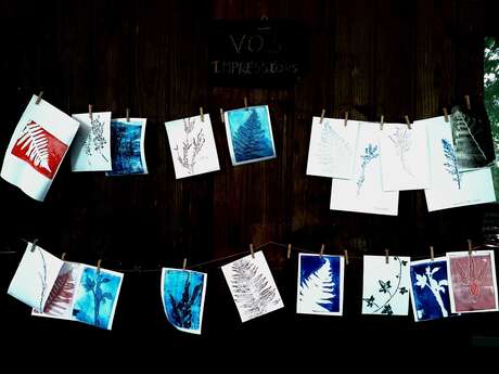 "Encrer la nature" - Atelier impression végétale