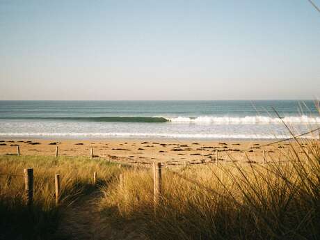 Blast Surf School : Ecole de surf et location