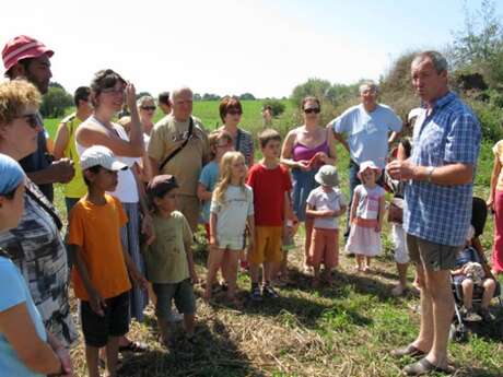 Le champs de trèfle Fromagerie