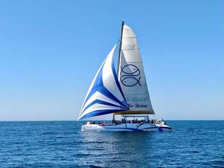 Iliens, la navette qui met les voiles