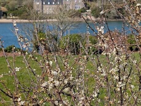 Atelier "Jardinons au naturel"
