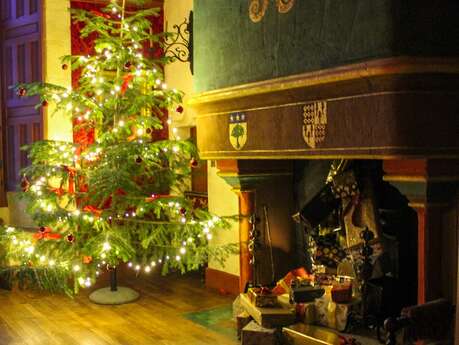 Visites de Noël au château