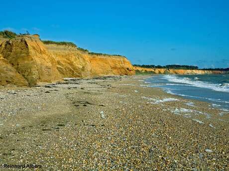 Visite du site géologique de la Mine d'Or