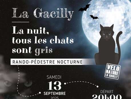 La Nuit tous les chats sont gris