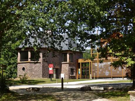 Atelier Collage parent-enfant