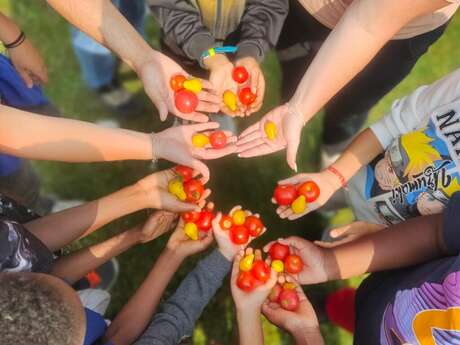 Visite de la micro ferme