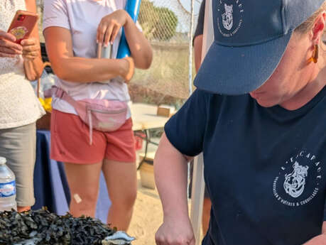 Atelier cuisine : apprendre à ouvrir les huîtres