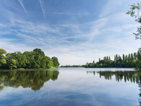 L'étang de Châtillon-en-Vendelais