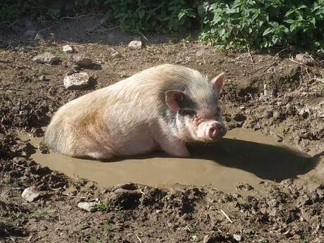 L’arche de Ma nature