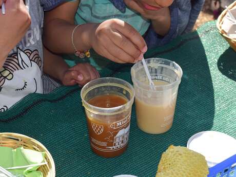À la découverte des abeilles et des plantes mellifères